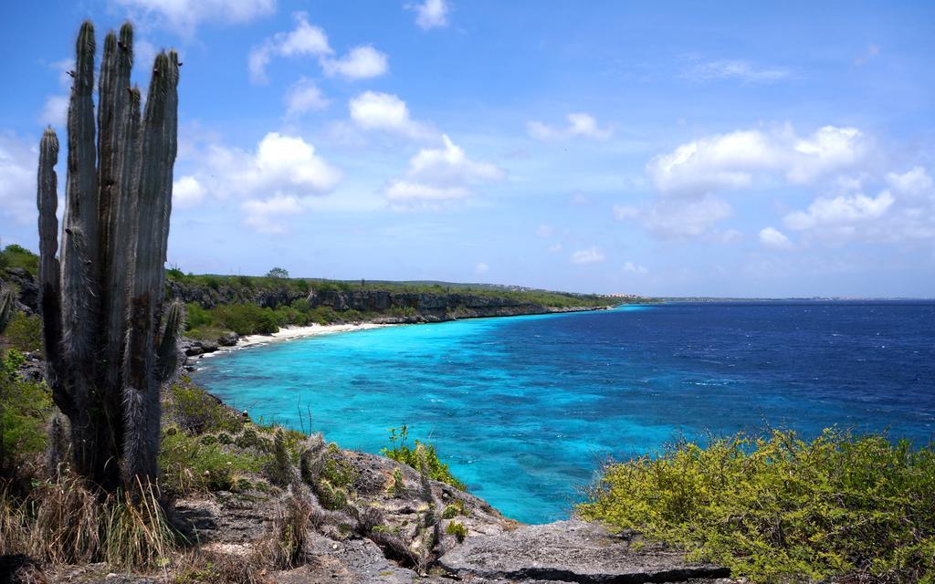 Dormio Bonaire Village Habitación foto